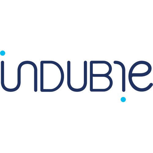 Indubie IT SL Indubie IT SL